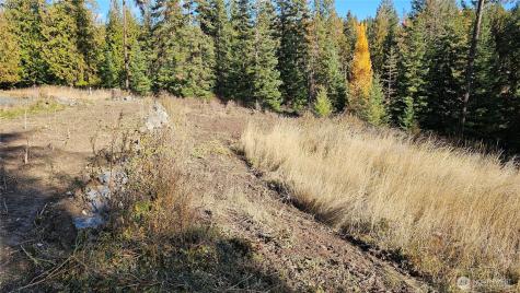 717 Finley Gulch Road Colville WA 99114