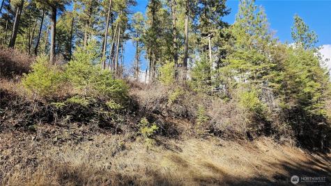 717 Finley Gulch Road Colville WA 99114