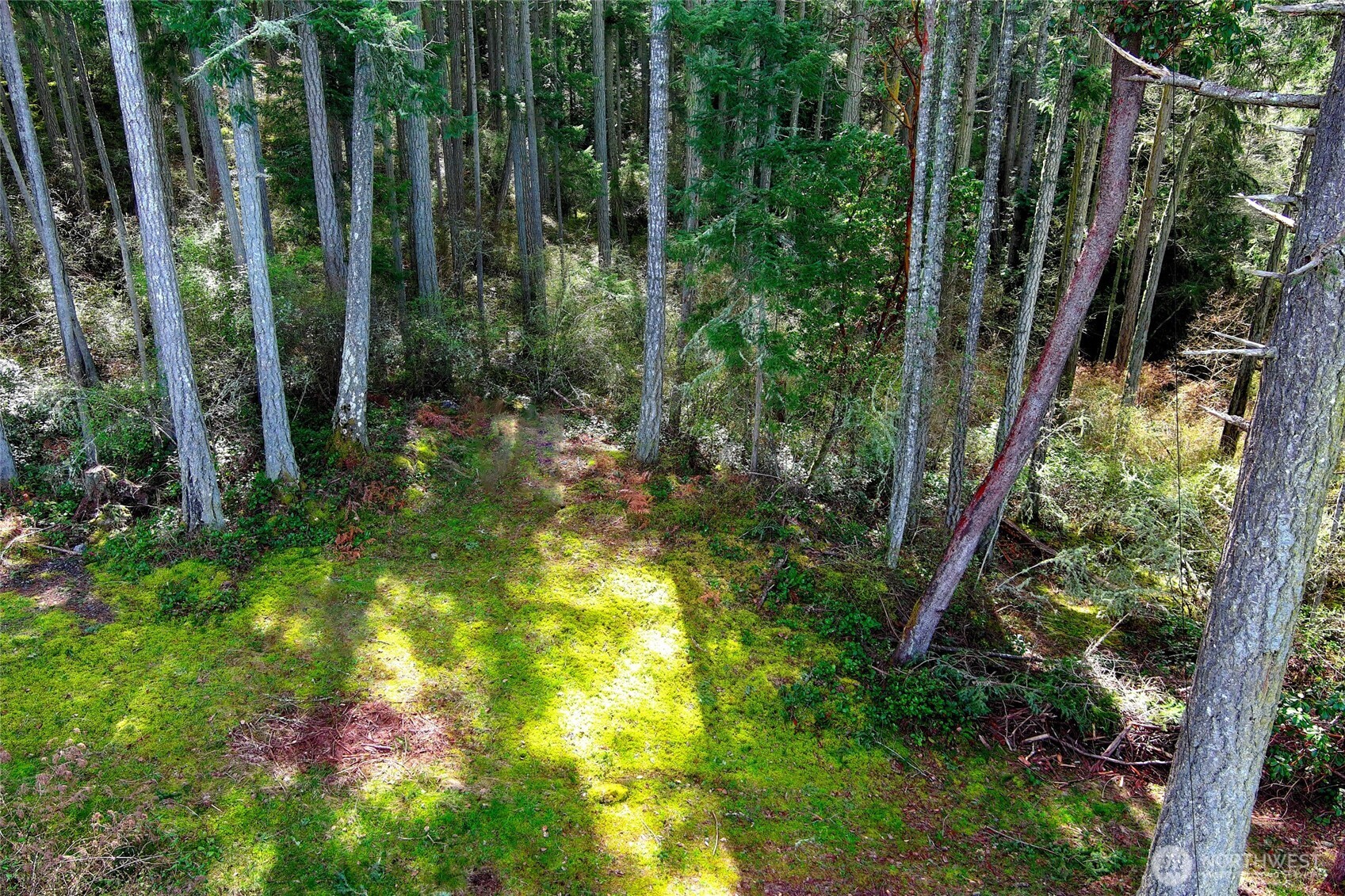 87 Conifer Lane Friday Harbor WA 98250