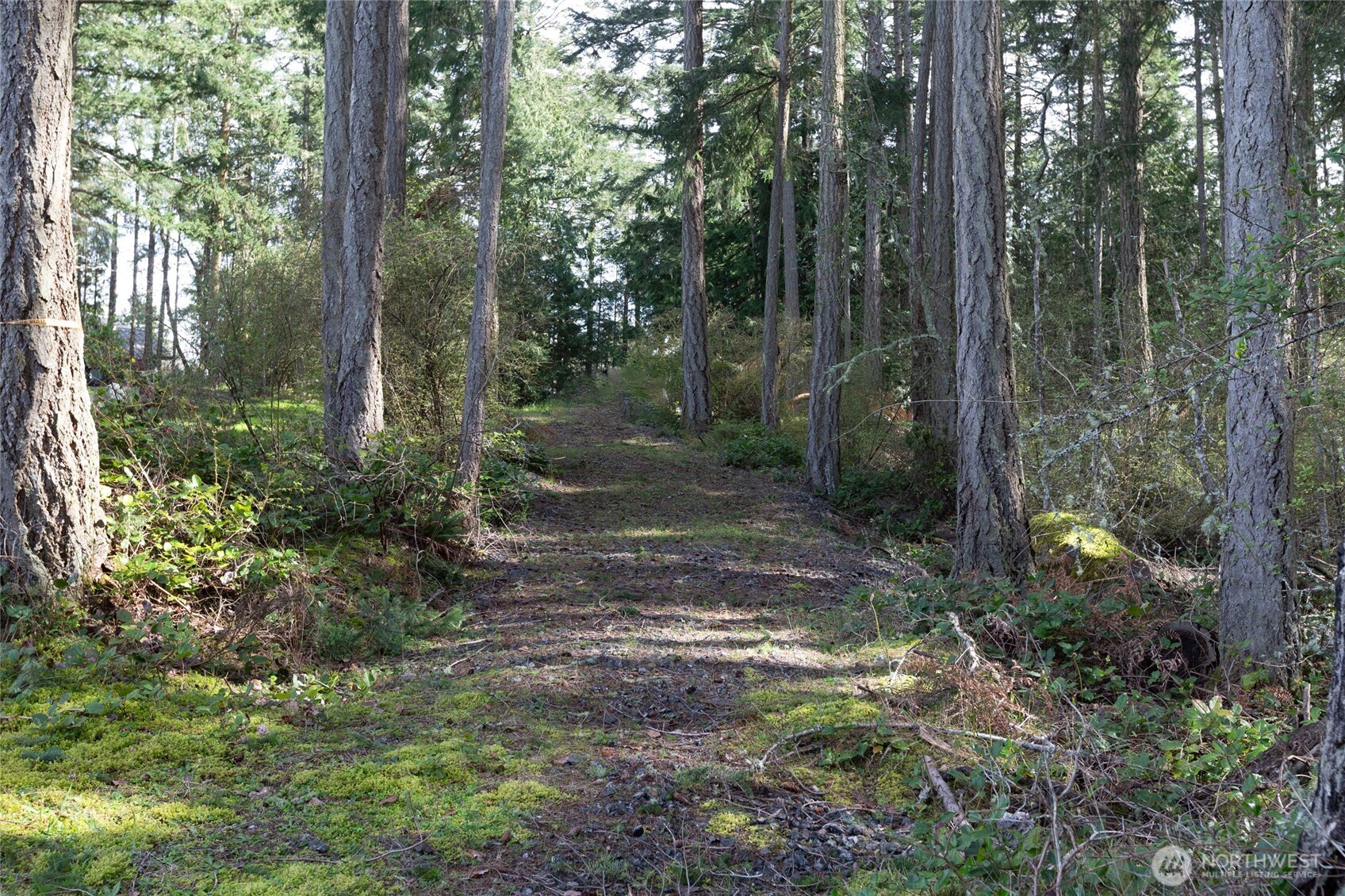 87 Conifer Lane Friday Harbor WA 98250