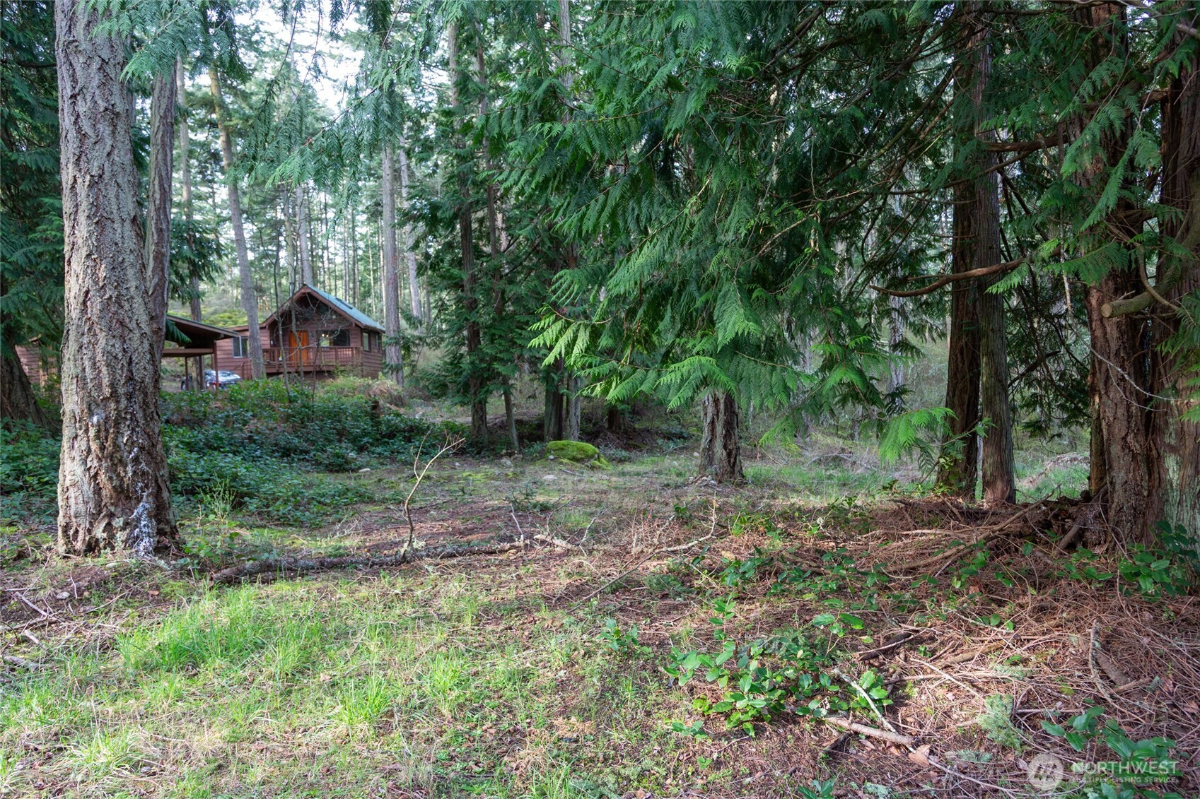 87 Conifer Lane Friday Harbor WA 98250