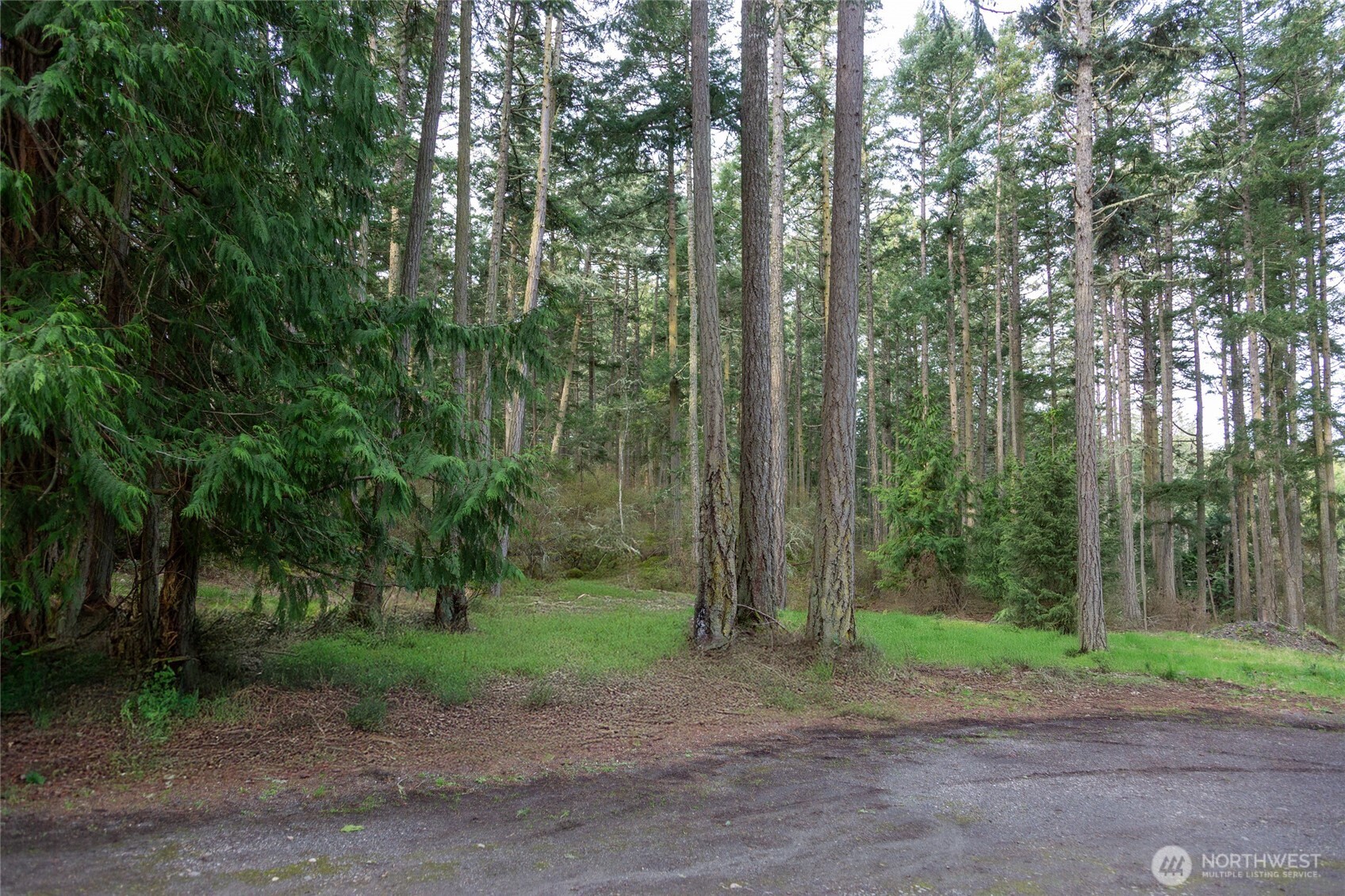 87 Conifer Lane Friday Harbor WA 98250