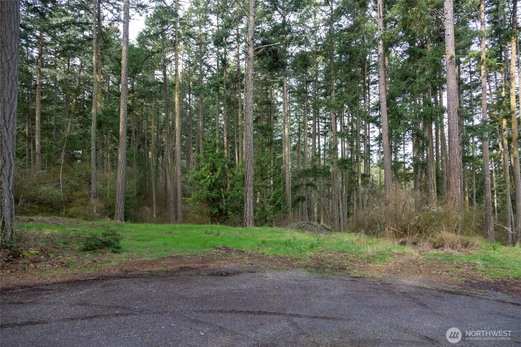 87 Conifer Lane Friday Harbor WA 98250