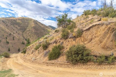 5058 Mills Canyon Road Entiat WA 98822