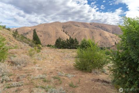 5058 Mills Canyon Road Entiat WA 98822