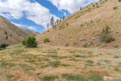 5058 Mills Canyon Road Entiat WA 98822
