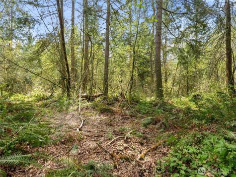 67 258th Avenue NE Redmond WA 98053