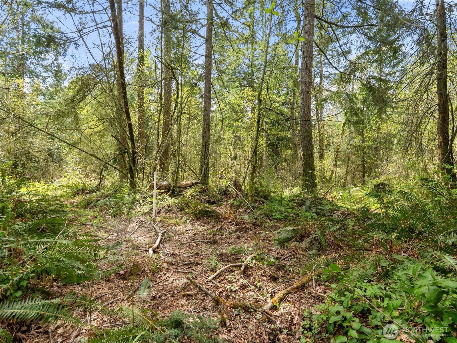 67 258th Avenue NE Redmond WA 98053