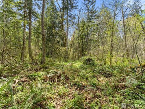 67 258th Avenue NE Redmond WA 98053