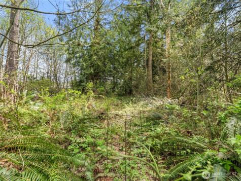 67 258th Avenue NE Redmond WA 98053