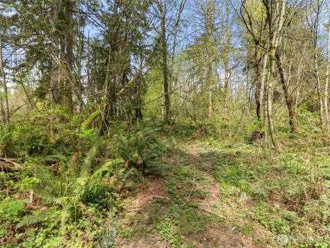 67 258th Avenue NE Redmond WA 98053