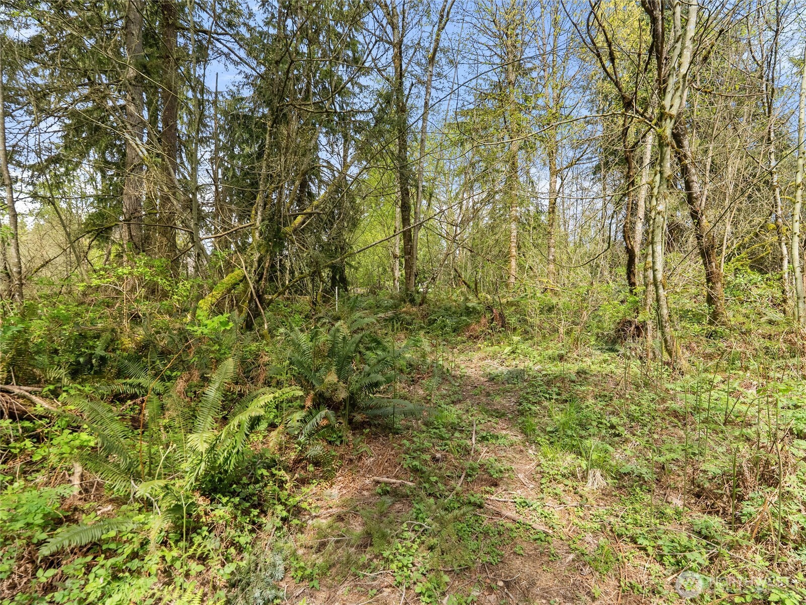 67 258th Avenue NE Redmond WA 98053