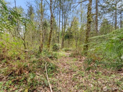 67 258th Avenue NE Redmond WA 98053