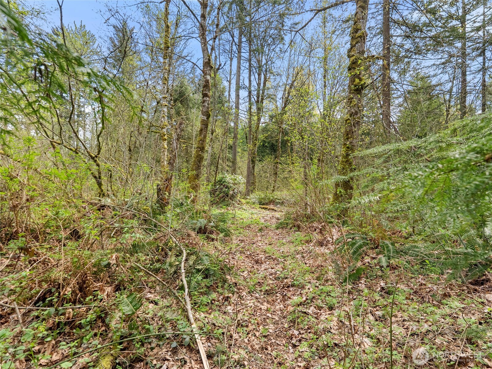 67 258th Avenue NE Redmond WA 98053
