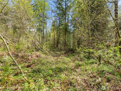 67 258th Avenue NE Redmond WA 98053