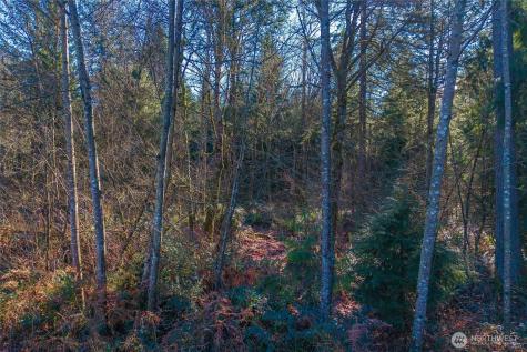 67 258th Avenue NE Redmond WA 98053