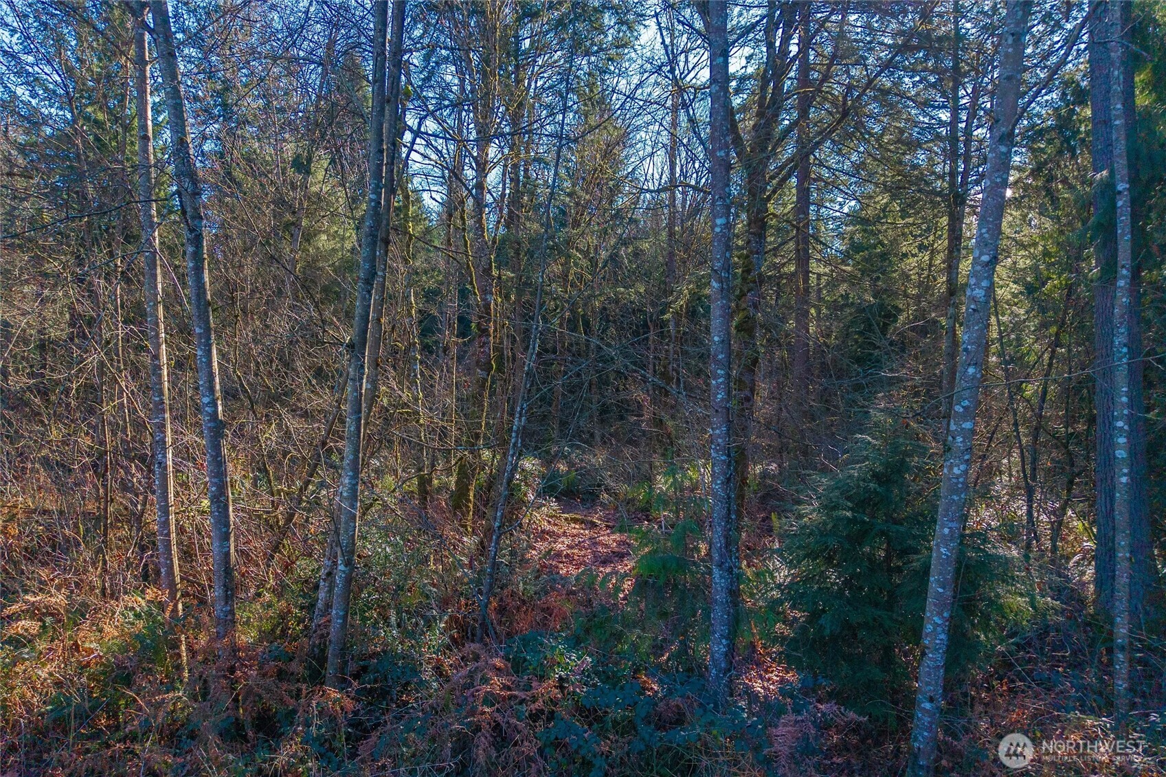 67 258th Avenue NE Redmond WA 98053