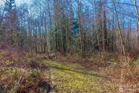 67 258th Avenue NE Redmond WA 98053