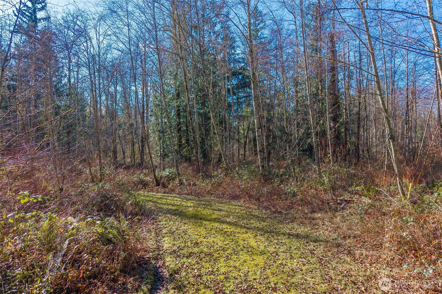 67 258th Avenue NE Redmond WA 98053