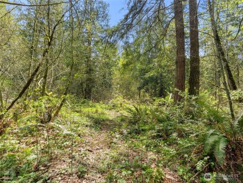 67 258th Avenue NE Redmond WA 98053