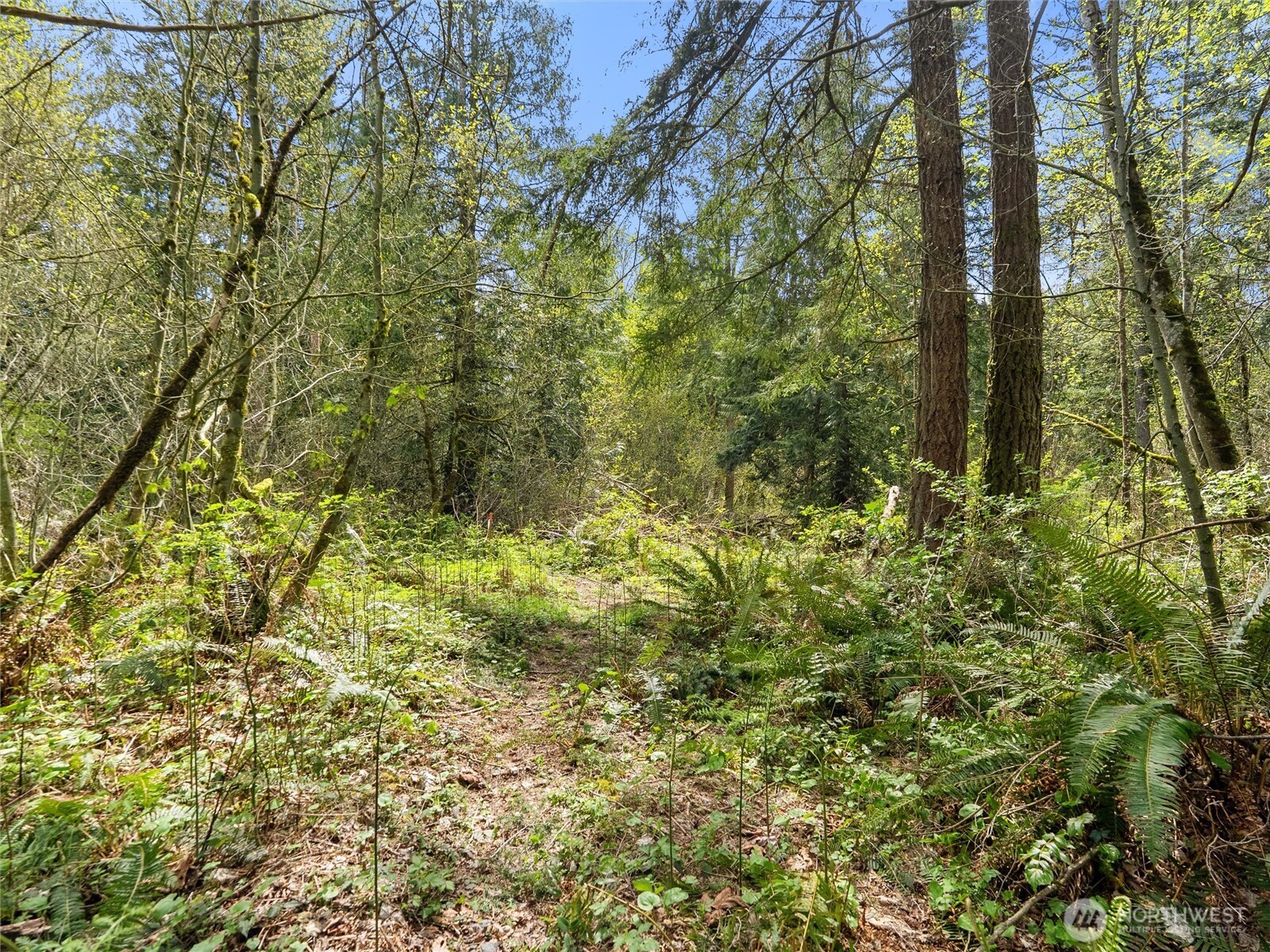 67 258th Avenue NE Redmond WA 98053