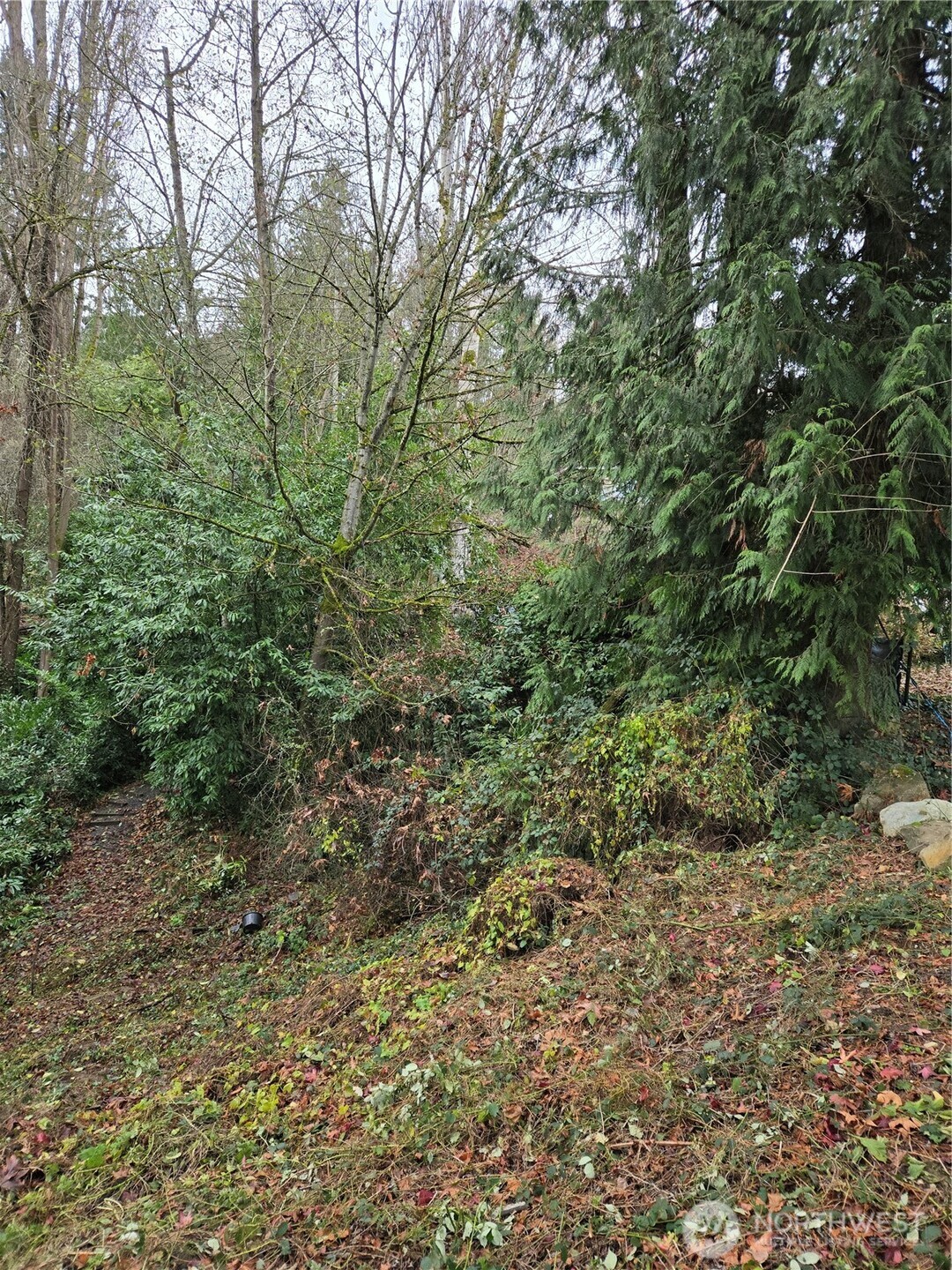 14014 41st Avenue NE Seattle WA 98125
