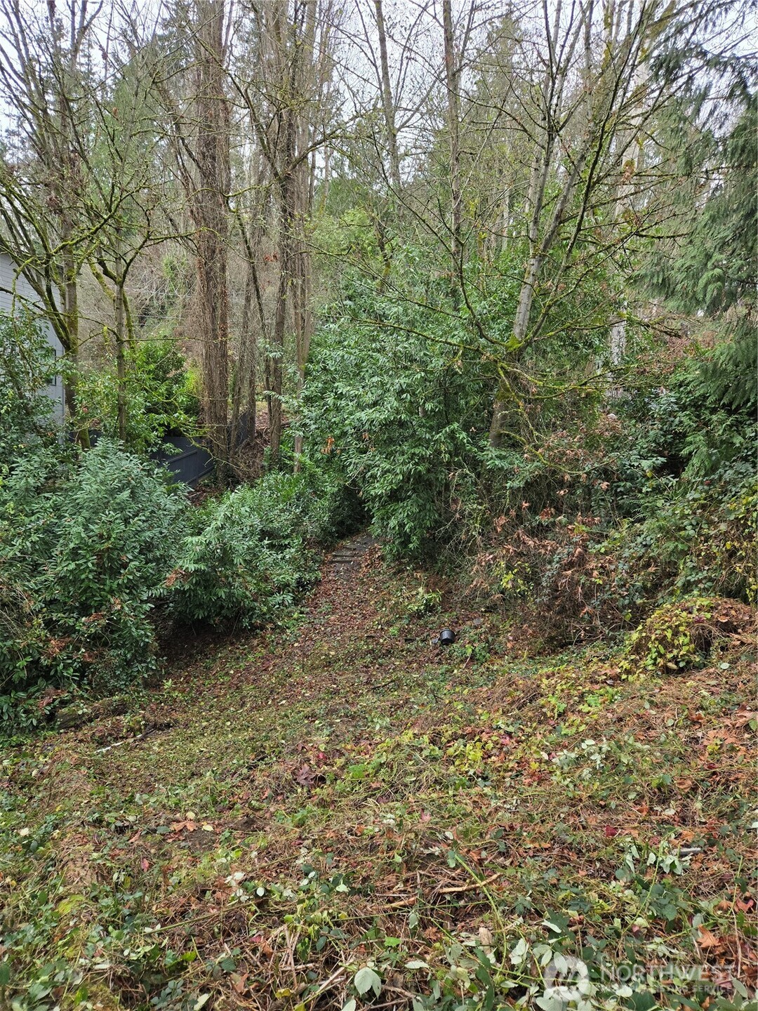 14014 41st Avenue NE Seattle WA 98125
