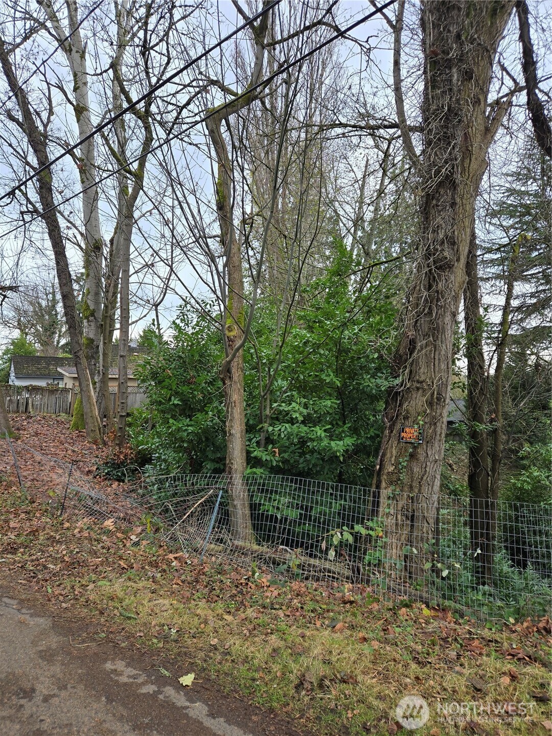 14014 41st Avenue NE Seattle WA 98125