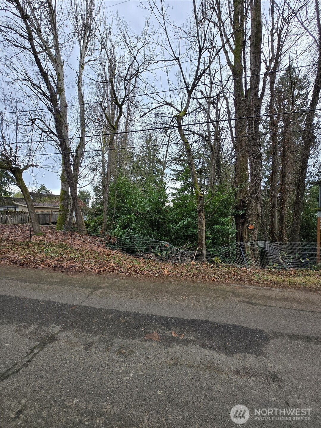 14014 41st Avenue NE Seattle WA 98125