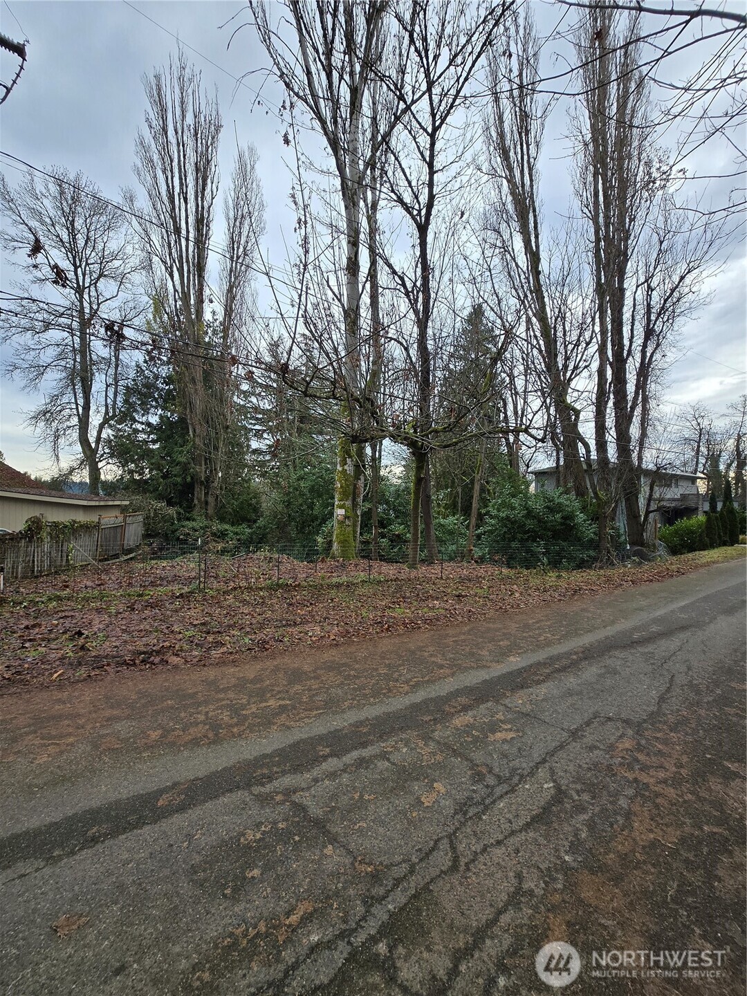 14014 41st Avenue NE Seattle WA 98125