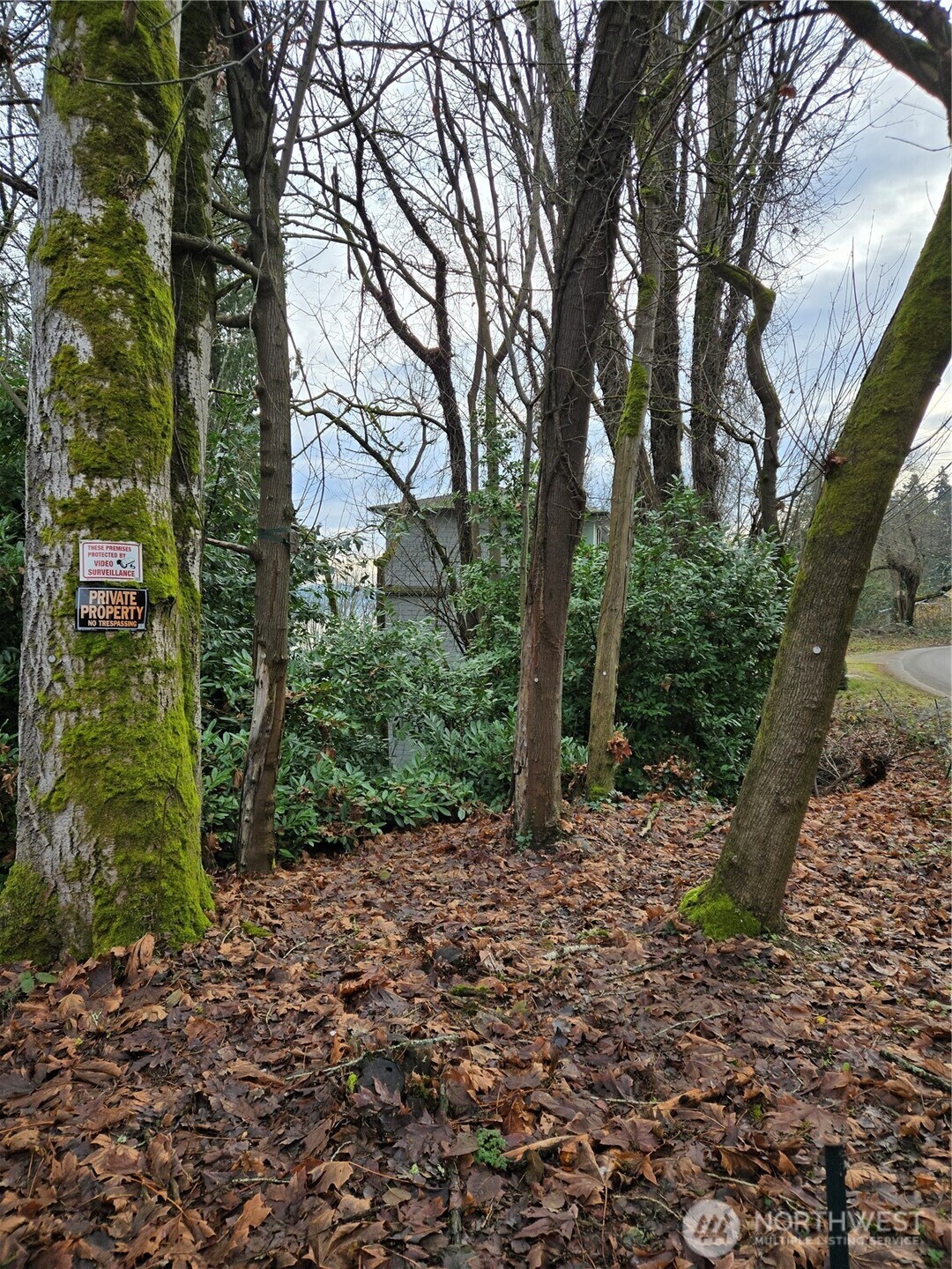 14014 41st Avenue NE Seattle WA 98125