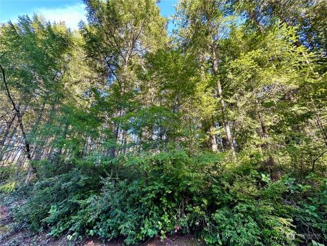 8911 126th Avenue Court Anderson Island WA 98303
