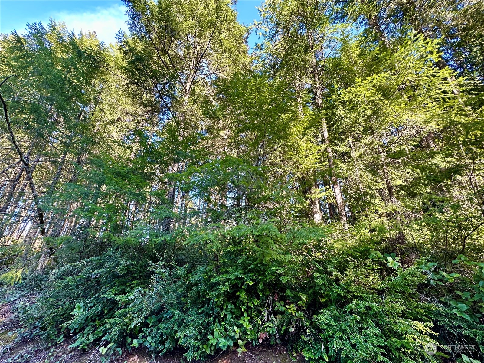 8911 126th Avenue Court Anderson Island WA 98303