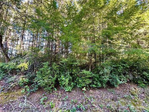 8911 126th Avenue Court Anderson Island WA 98303