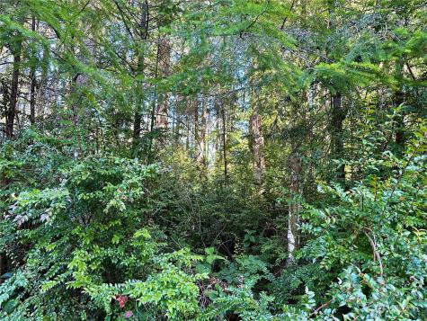 8911 126th Avenue Court Anderson Island WA 98303