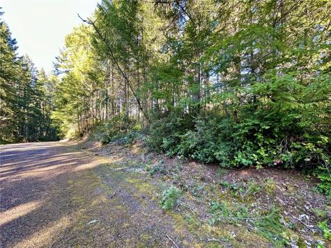 8911 126th Avenue Court Anderson Island WA 98303