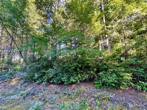8911 126th Avenue Court Anderson Island WA 98303