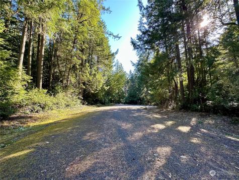 8911 126th Avenue Court Anderson Island WA 98303