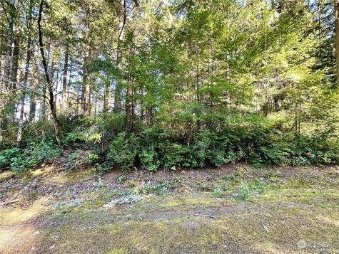 8911 126th Avenue Court Anderson Island WA 98303