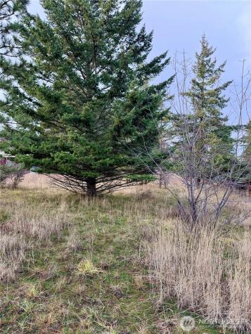 0 Morrison Canyon Lane Cle Elum WA 98922