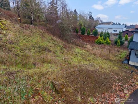 1173 Birch Street Kalama WA 98625
