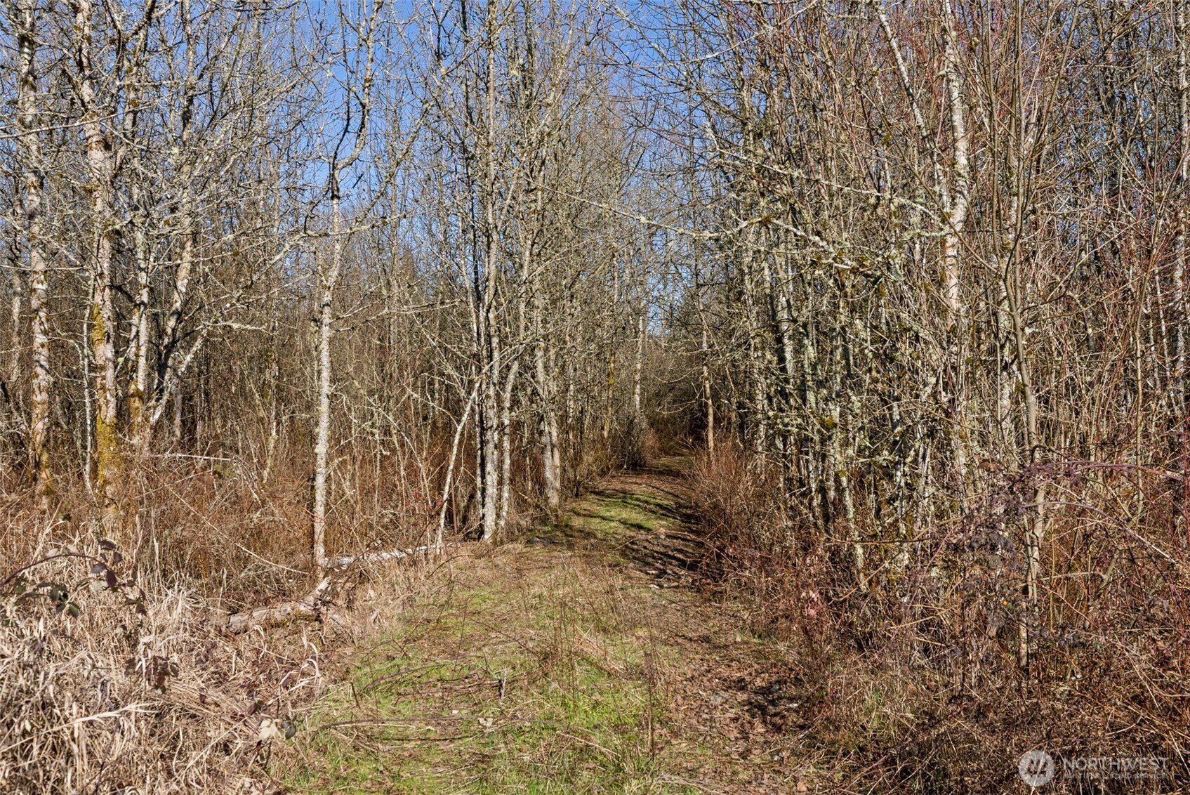 110 Frost Road Winlock WA 98596