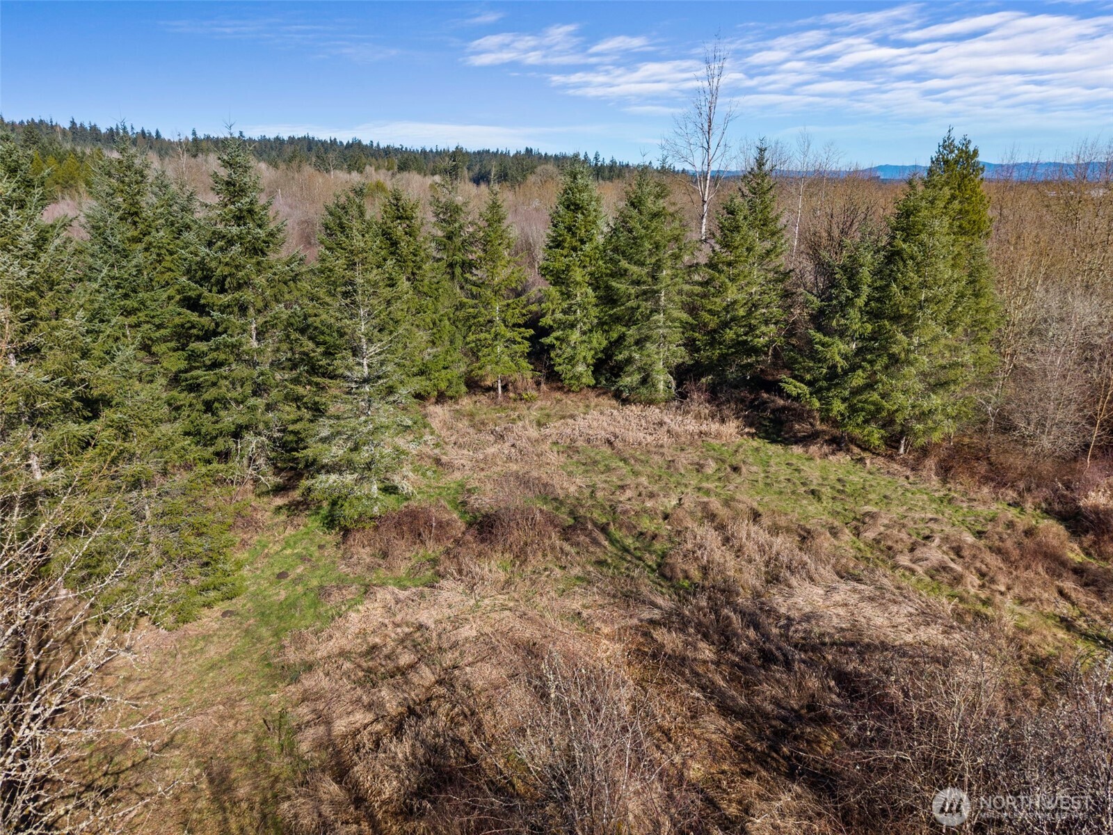 110 Frost Road Winlock WA 98596