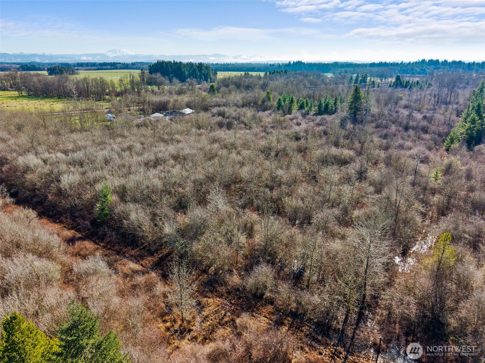 110 Frost Road Winlock WA 98596