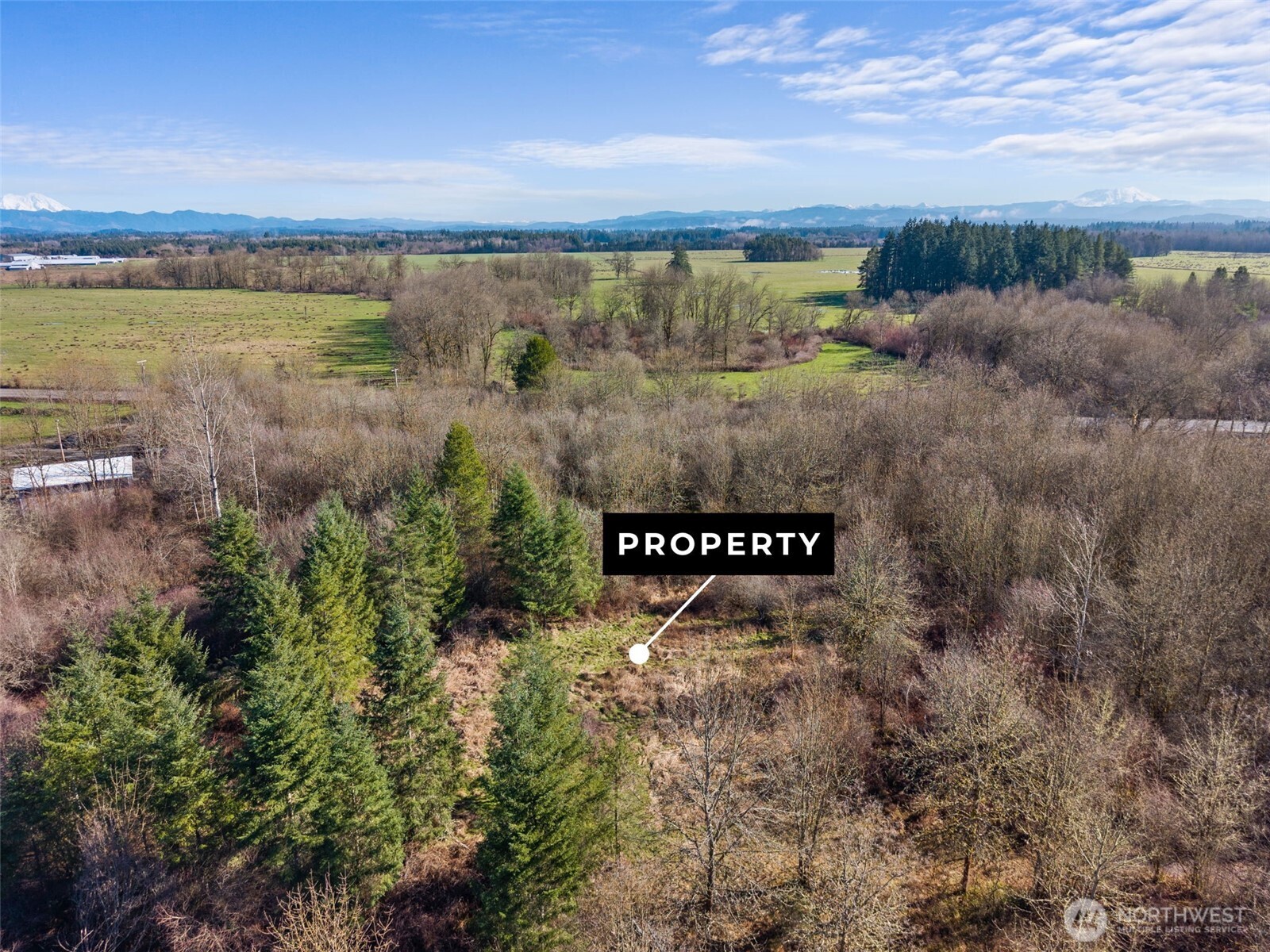 110 Frost Road Winlock WA 98596