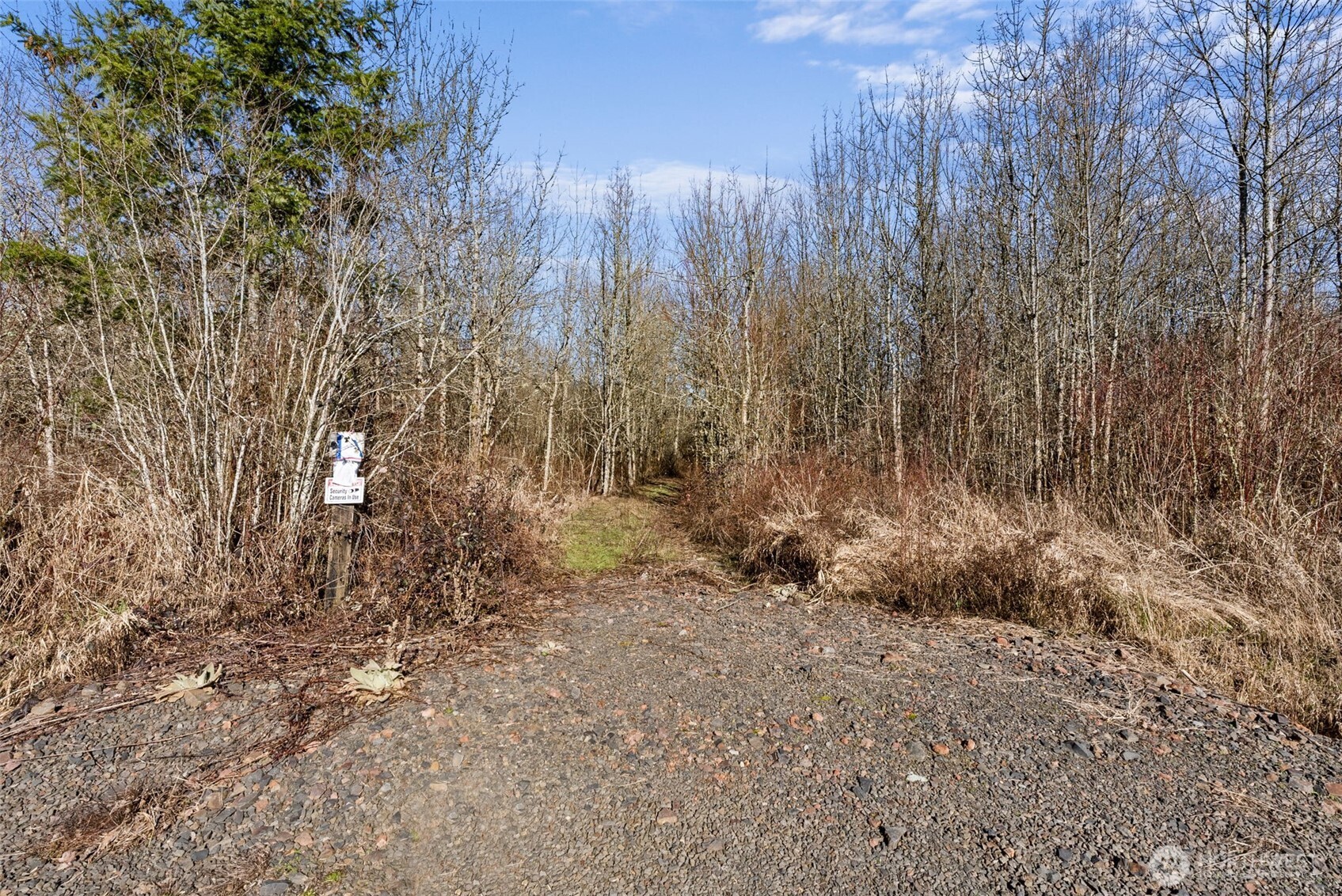 110 Frost Road Winlock WA 98596