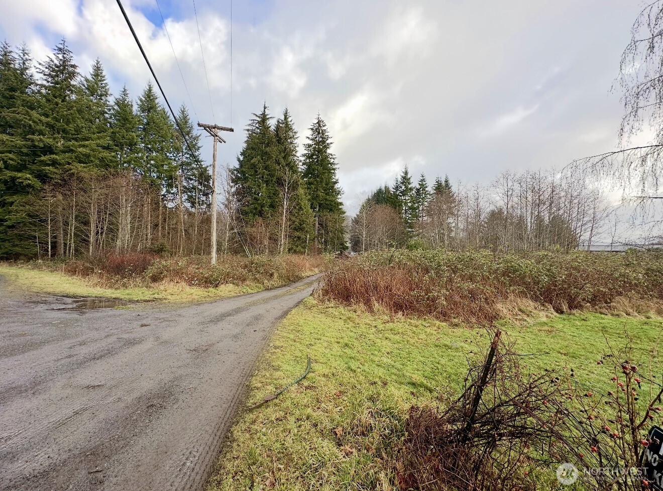 9999 Merchant Road Forks WA 98331
