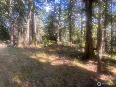0 Rocky Road Crane Island WA 98243