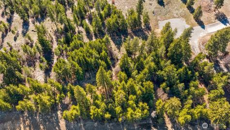 78 Forest Ridge (Lot 78) Drive Cle Elum WA 98922