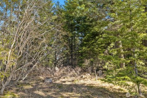 78 Forest Ridge (Lot 78) Drive Cle Elum WA 98922